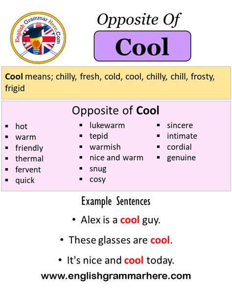 antonyms of warm|warm cool opposites.